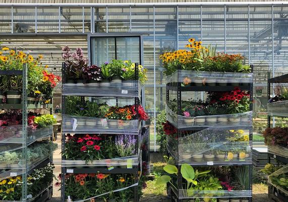 CAD Perennials 3