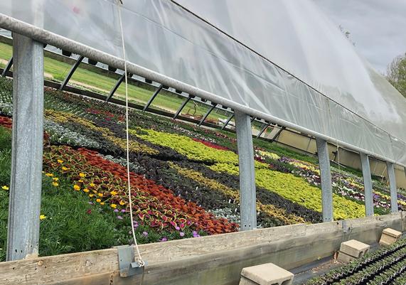 May-June Greenhouse