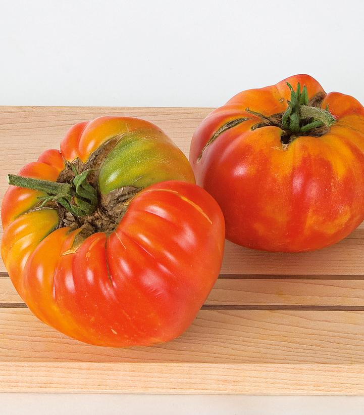 Tomato 'Striped German'