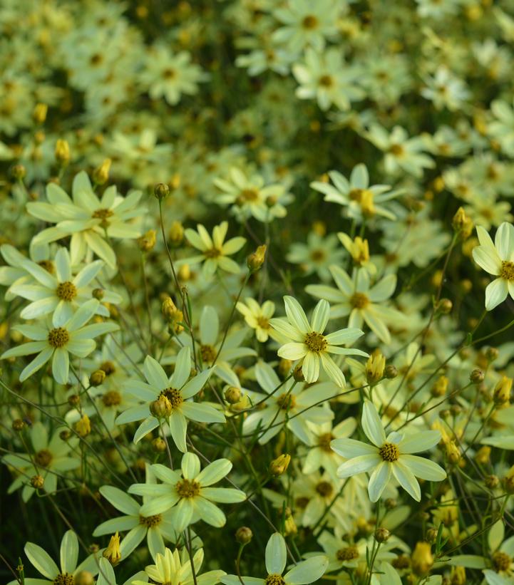 Image Credit: Prides Corner Farms