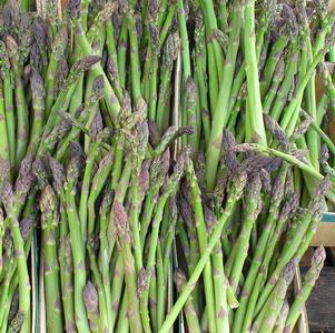 Image courtesy Walters Gardens inc.