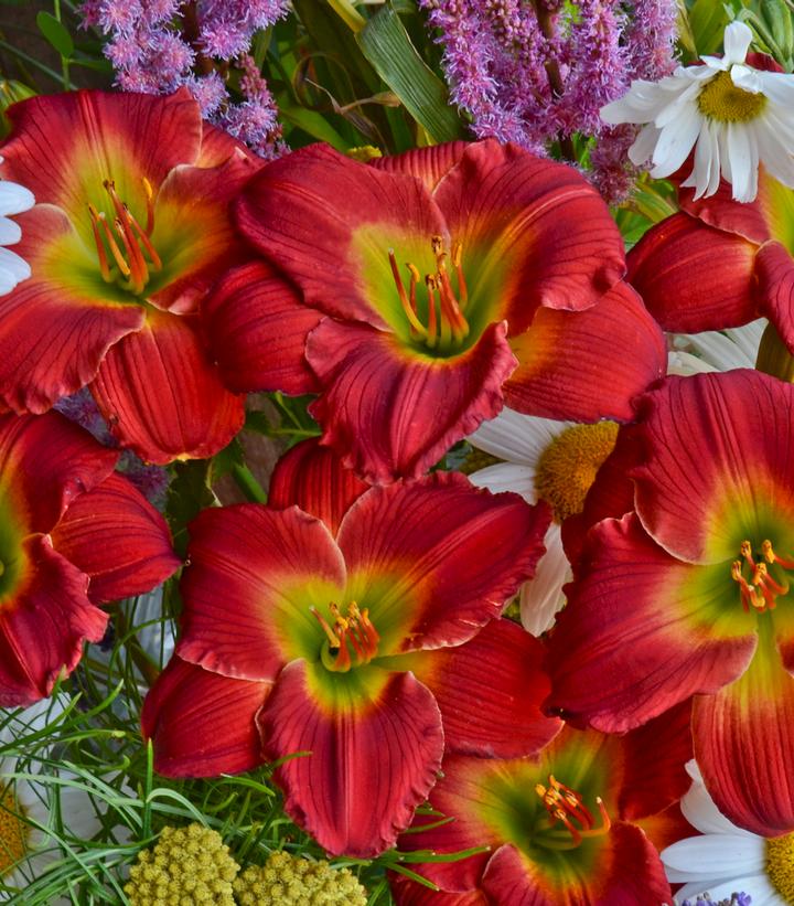 Image Credit: Walters Gardens
