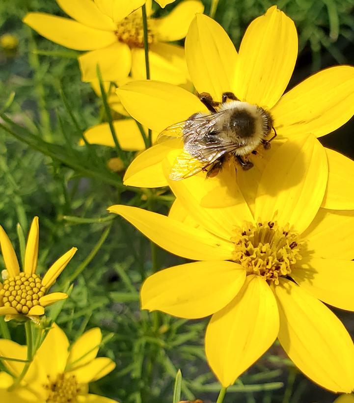 Image Credit: Prides Corner Farms