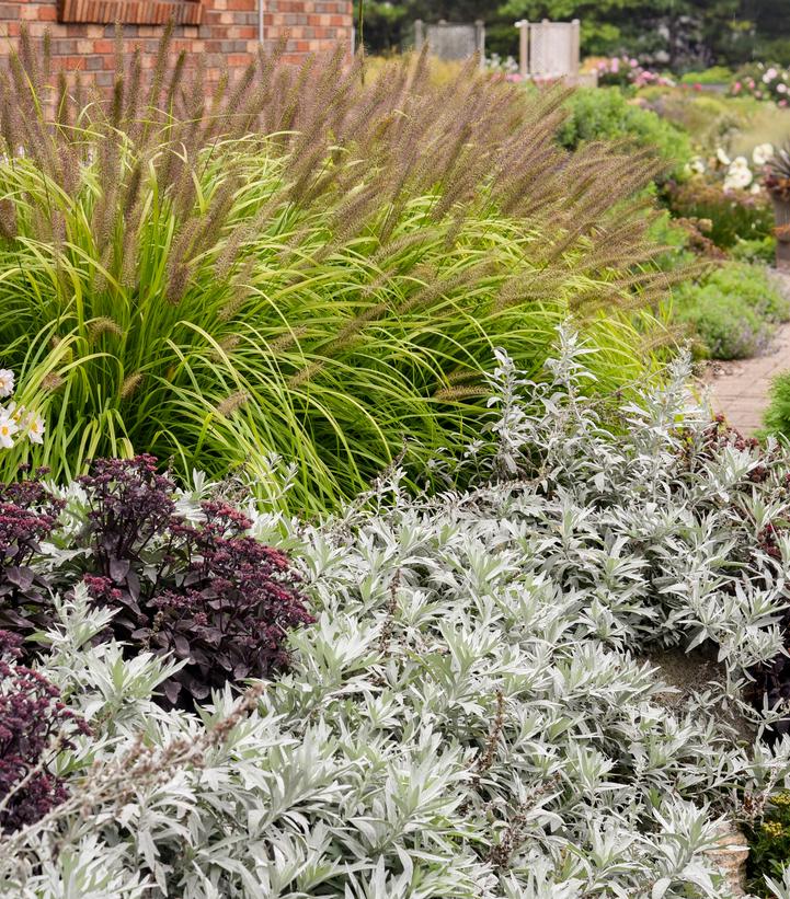 Image Credit: Walters Gardens